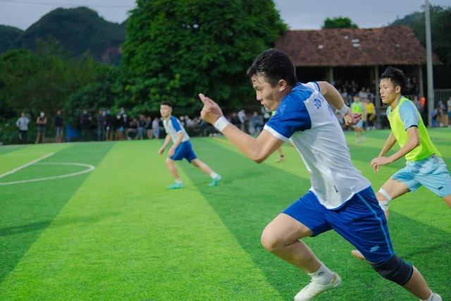 部争冠态